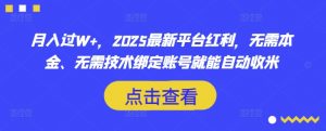 月入过W+，2025最新平台红利，无需本金、无需技术绑定账号就能自动收米-江南创业网