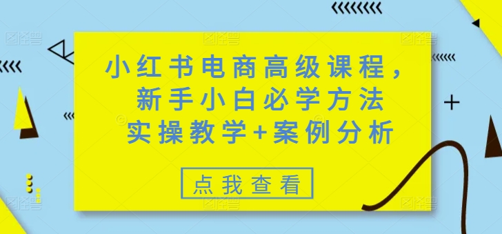 小红书电商高级课程，新手小白必学方法，实操教学+案例分析-江南创业网