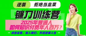 镰刀训练营超级IP合伙人，25年普通人如何通过“知识付费”实现逆袭-江南创业网
