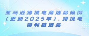 亚马逊跨境电商选品案例(更新2025年3月)，跨境电商利基选品-江南创业网