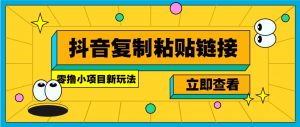 零撸小项目，新玩法，抖音复制链接0.07一条，20秒一条，无限制。-江南创业网