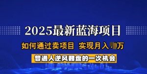 2025蓝海项目，普通人如何通过卖项目，实现月入过W，全过程【揭秘】-江南创业网