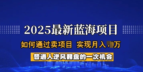 2025蓝海项目，普通人如何通过卖项目，实现月入过W，全过程【揭秘】-江南创业网