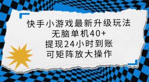 快手小游戏最新版升级玩法，新风口，无脑单机日入40+，可批量放大，小...-江南创业网