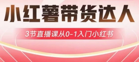 小红薯达人带货启航计划，3节直播课从0-1入门小红书-江南创业网