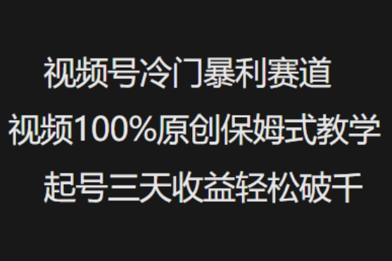 视频号冷门暴利赛道视频100%原创保姆式教学起号三天收益轻松破千-江南创业网