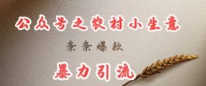 deepseek写农村小项目，条条爆款，暴力引流-江南创业网