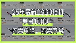 25年最新CSGO挂机系统，单日1000+，无需电脑，无需养号，0基础可上手-江南创业网