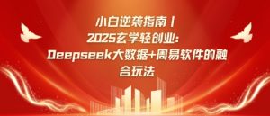 小白逆袭指南，2025玄学轻创业：Deepseek大数据+周易算法的融合玩法-江南创业网