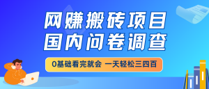 网赚搬砖项目，国内问卷调查，0基础看完就会 一天轻松三四百，靠谱副业...-江南创业网