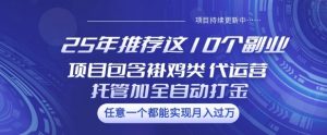 25年推荐这10个副业项目包含褂鸡类、代运营托管类、全自动打金类【揭秘】-江南创业网