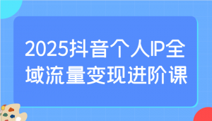 2025抖音个人IP全域流量变现进阶课：选爆品、抖音付费投流、千川投流实操及优化等-江南创业网
