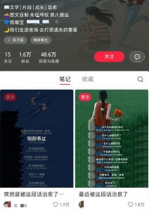 小红书治愈文案图文笔记，零门槛，一分钟制作轻松制作爆款作品月入万元-江南创业网