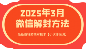 2025年3月微信解封方法 最新跳辅助核对技术【小伙伴亲测】-江南创业网