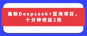 最新Deepseek+蓝海项目，十分钟收益2张-江南创业网