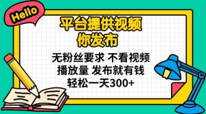 平台提供视频 你发布 无粉丝要求 不看视频播放量 发布就有钱 轻松一天300+-江南创业网