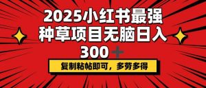 2025小红书最强种草项目，无脑日入300+，复制粘帖即可，多劳多得-江南创业网
