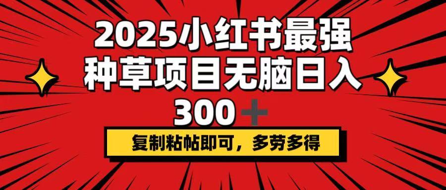 2025小红书最强种草项目，无脑日入300+，复制粘帖即可，多劳多得-江南创业网