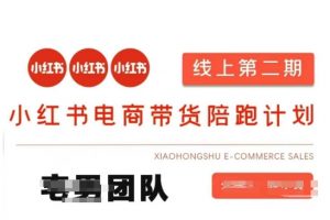 小红书电商带货课2期，月利润20个的小红书电商的有货源，无货源，虚拟产品，付费投流等整套玩法-江南创业网