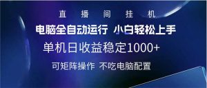 2025直播间最新玩法单机日入1000+ 全自动运行 可矩阵操作-江南创业网
