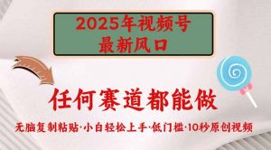 2025年视频号新风口，低门槛只需要无脑执行-江南创业网