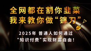 全网都在割你韭菜，我来教你做镰刀,2025普通人如何通过知识付费，实现财F自由【揭秘】-江南创业网