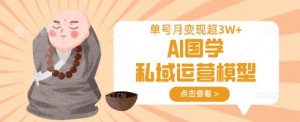 AI国学私域运营模型，单号月变现过W-江南创业网