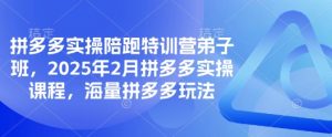 拼多多实操陪跑特训营弟子班，2025年2月拼多多实操课程，海量拼多多玩法-江南创业网