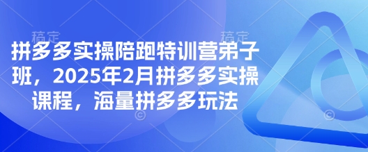 拼多多实操陪跑特训营弟子班，2025年2月拼多多实操课程，海量拼多多玩法-江南创业网