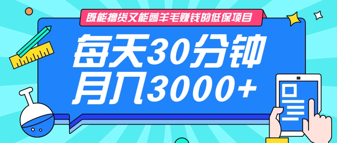 既能撸货又能赚钱的长期低保项目，每天30分钟，多号百分百稳定月入3000+！-江南创业网
