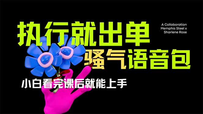 爆火全网的开车导航骚气语音包,只要执行就出单，小白看完课程就能实操…-江南创业网