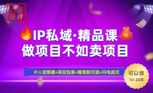 2025年“IP私域·密训精品课”，日赚3000+小白避坑年赚百万，暴力引流...-江南创业网