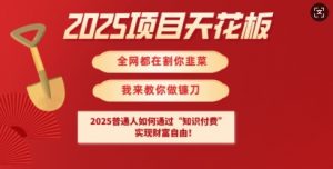 2025项目天花板普通人如何通过知识付费，实现财F自由【揭秘】-江南创业网