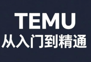 跨境麦冬·TEMU从入门到精通-江南创业网