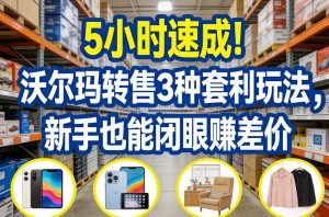 5小时速成!沃尔玛转售3种套利玩法,新手也能闭眼賺差价-江南创业网