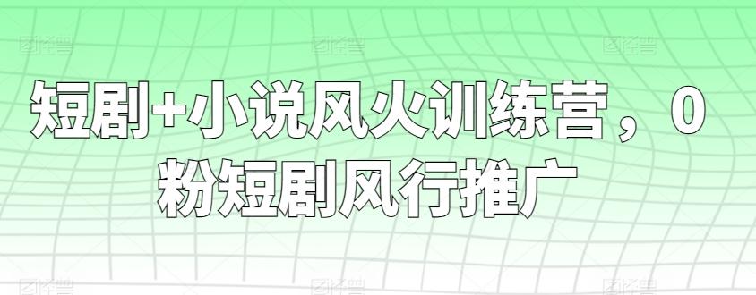 短剧+小说风火训练营，0粉短剧风行推广-江南创业网