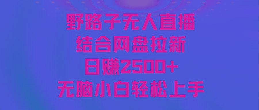 无人直播野路子结合网盘拉新，日赚2500+多平台变现，小白无脑轻松上手操作-江南创业网