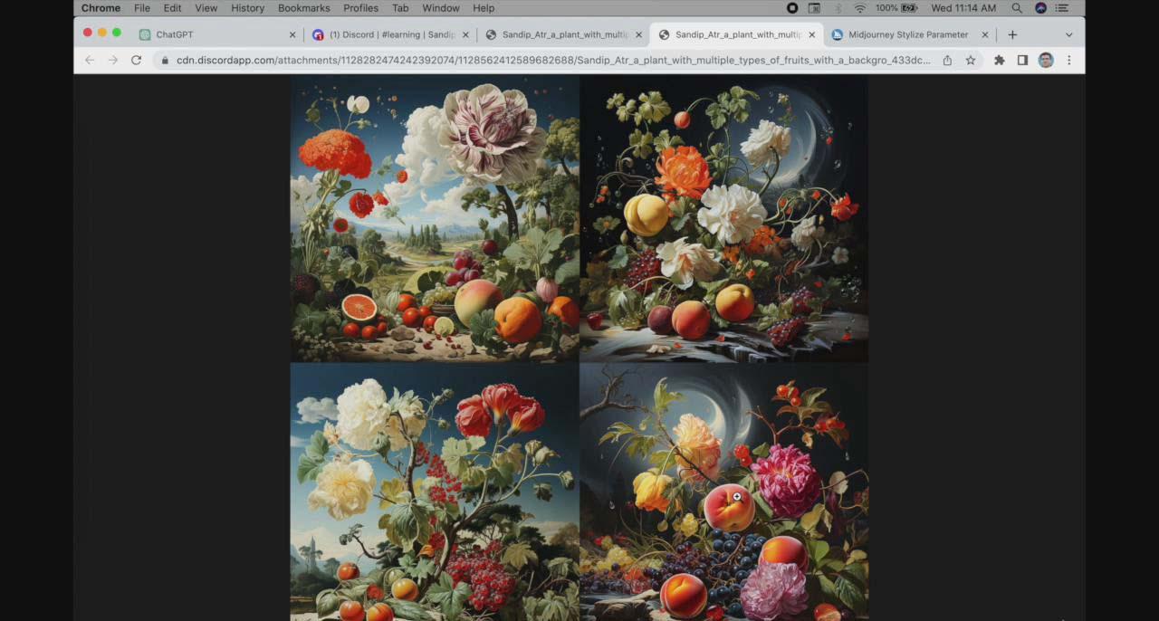 图片[1]-ChatGPT4 和 MidJourney AI 绘画聊天革命性指南教程-33节视频课-中英字幕-江南创业网