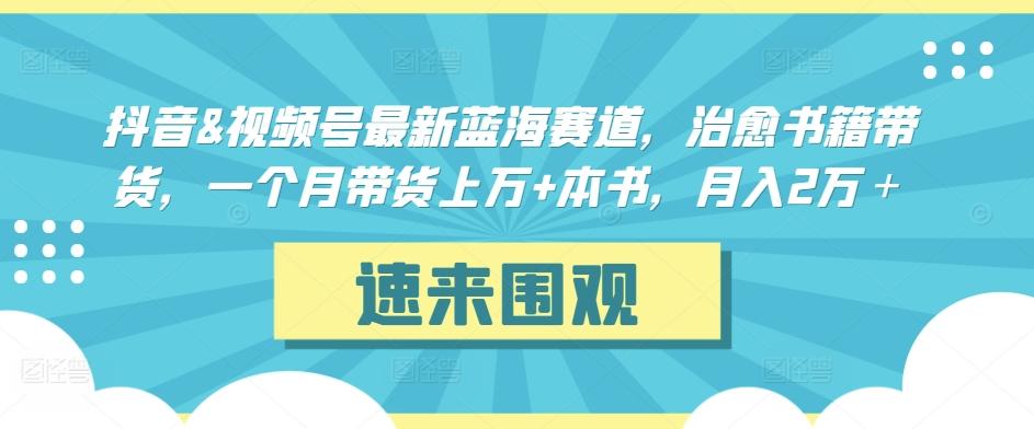 抖音&视频号最新蓝海赛道，治愈书籍带货，一个月带货上万+本书，月入2万＋【揭秘】-江南创业网