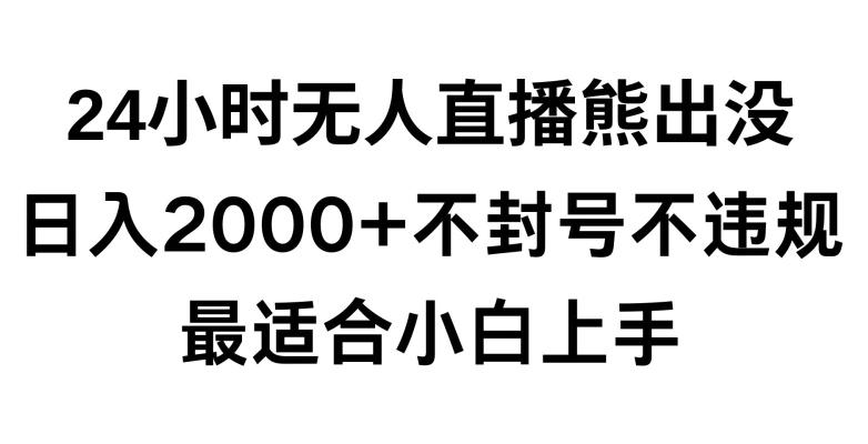 快手24小时无人直播熊出没，不封直播间，不违规，日入2000+，最适合小白上手，保姆式教学【揭秘】-江南创业网