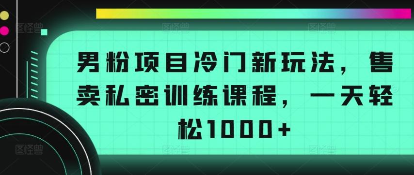 男粉项目冷门新玩法，售卖私密训练课程，一天轻松1000+【揭秘】-江南创业网