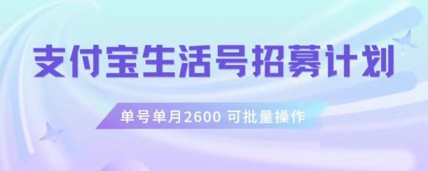 支付宝生活号作者招募计划，单号单月2600，可批量去做，工作室一人一个月轻松1w+【揭秘】-江南创业网