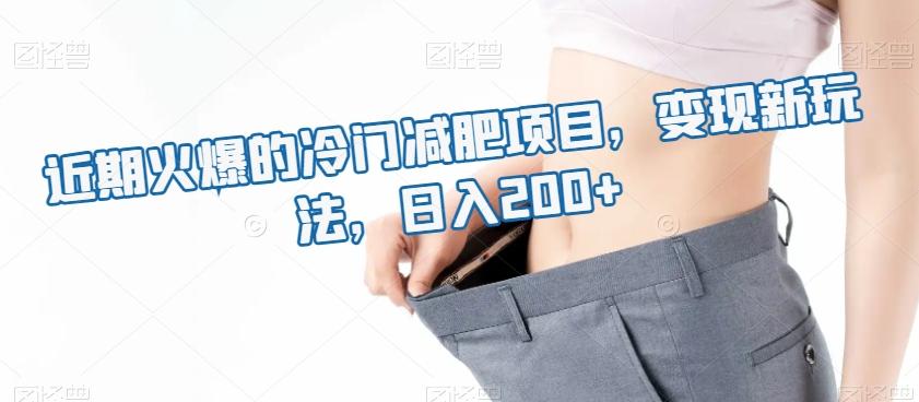 近期火爆的冷门减肥项目，变现新玩法，日入200+-江南创业网