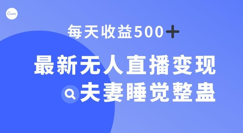 最新无人直播变现，夫妻睡觉整蛊，每天躺赚500+【揭秘】-江南创业网