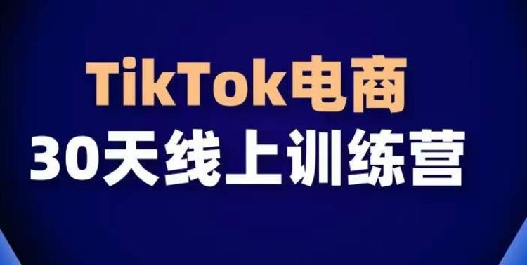 TikTok电商带货30天线上课，不可错过的全球流量洼地！-江南创业网