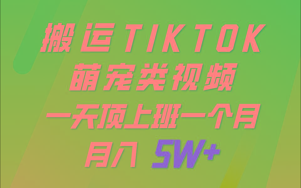 一键搬运TIKTOK萌宠类视频，一部手机即可操作，所有平台均可发布 轻松月入5W+-江南创业网