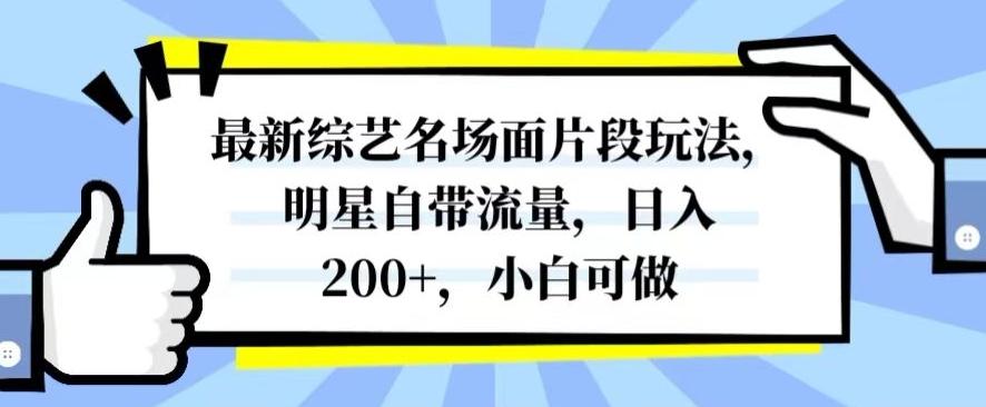 最新综艺名场面片段玩法，明星自带流量，日入200+，小白可做【揭秘】-江南创业网