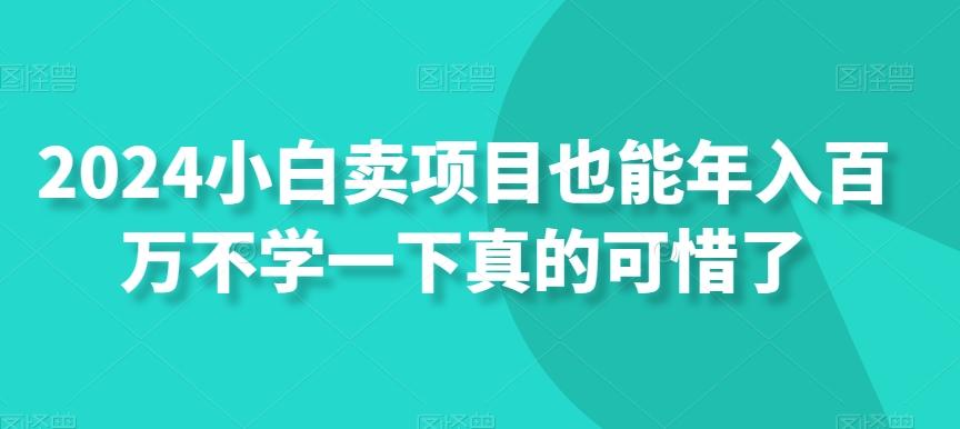 2024小白卖项目也能年入百万不学一下真的可惜了-江南创业网