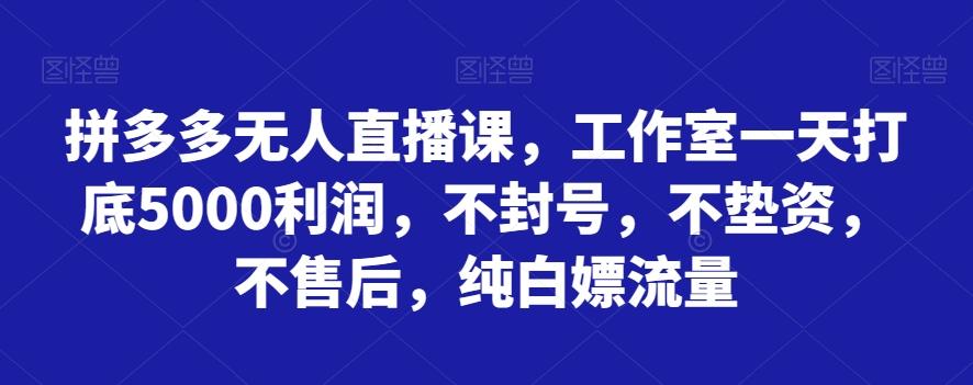拼多多无人直播课，工作室一天打底5000利润，不封号，不垫资，不售后，纯白嫖流量-江南创业网