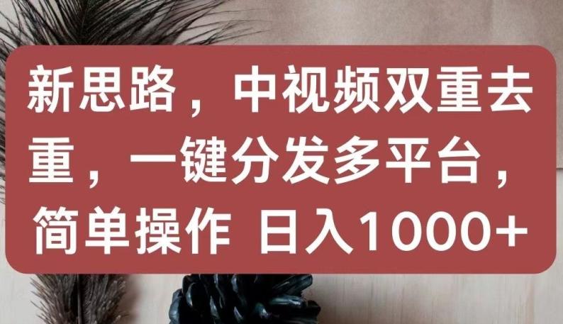 新思路，中视频双重去重，一键分发多平台，简单操作，日入1000+【揭秘】-江南创业网